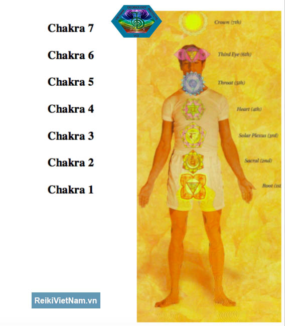 Cách tiếp đất dùng Reiki làm sạch và nạp năng lượng 7 Chakra